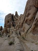 joshua tree national park (36).JPG